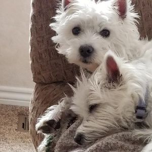 Meet your Posher, Gina